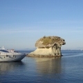 Ischia and Procida Boat Tour