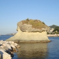 Ischia and Procida Boat Tour